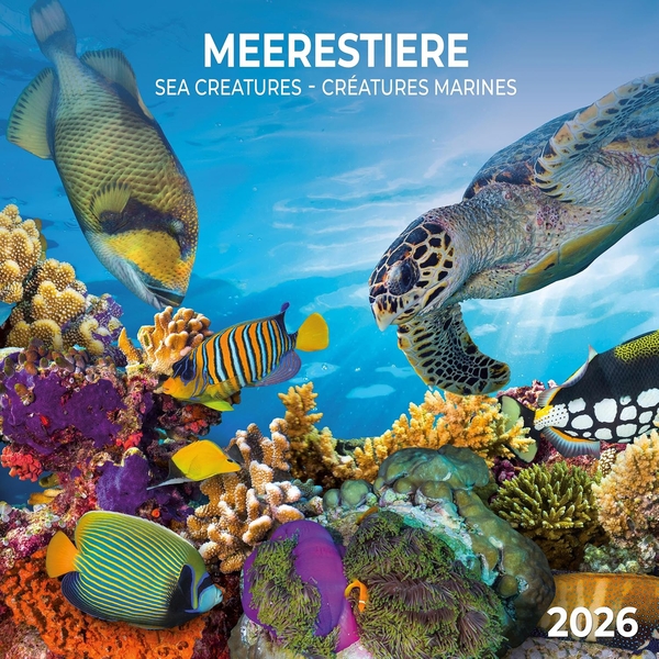 Бумажная книга «Meerestiere/Sea Creatures/Créatures marines 2026» - фото №1