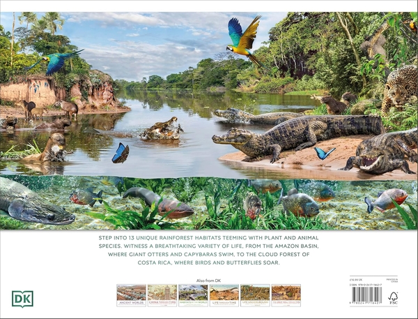 Бумажная книга «Rainforest», автор DK (Dorling Kindersley) - фото №1
