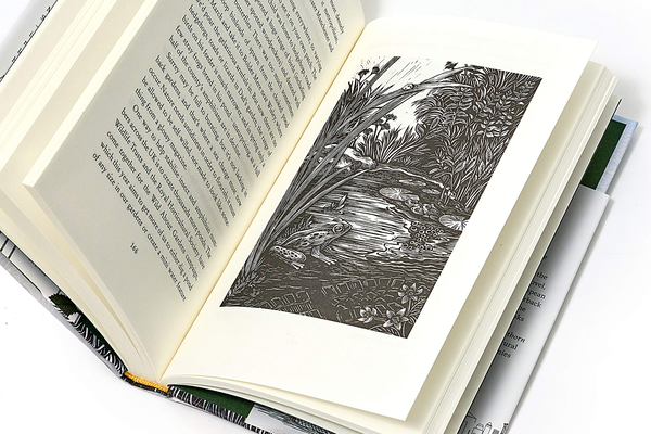 Паперова книга «The Stubborn Light of Things », автор Мелісса Харрісон - фото №1