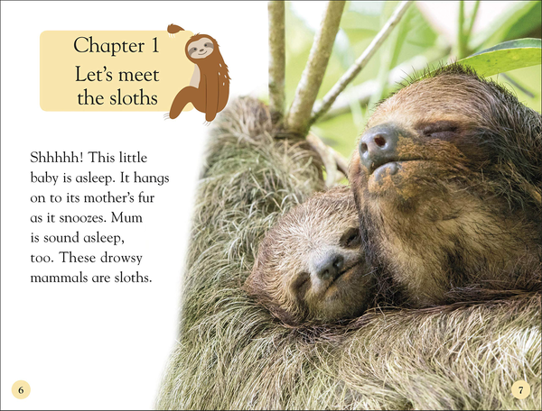 Бумажная книга «Sloths» - фото №1