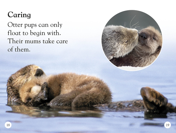 Паперова книга «Sea Otters. Enjoy the Antics of Sea Otters!» - фото №1