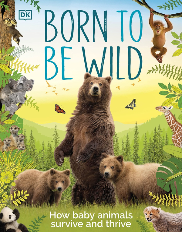 Бумажная книга «Born to be Wild» - фото №1