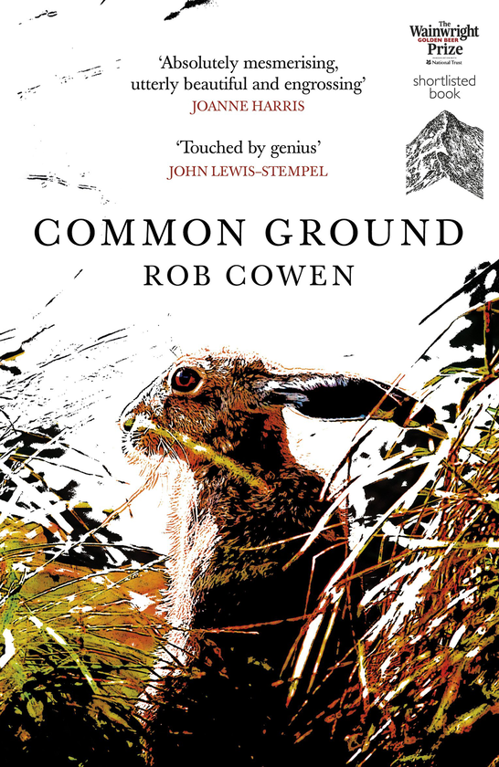 Паперова книга «Common Ground», автор Роб Коен - фото №1