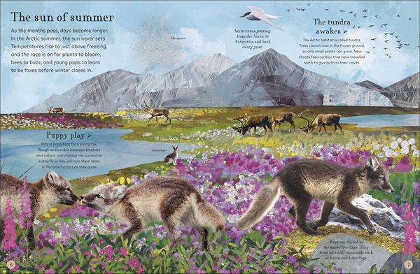 Паперова книга «Through the Animal Kingdom. Discover Amazing Animals and Their Remarkable Homes», автор Дерек Гарві - фото №1