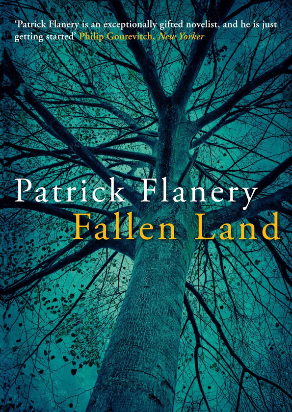 Бумажная книга «Fallen Land», автор Патрик Флэнери - фото №1