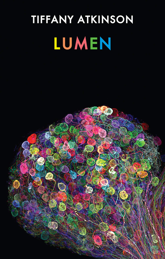 Паперова книга «Lumen», автор Тіффані Аткінсон - фото №1