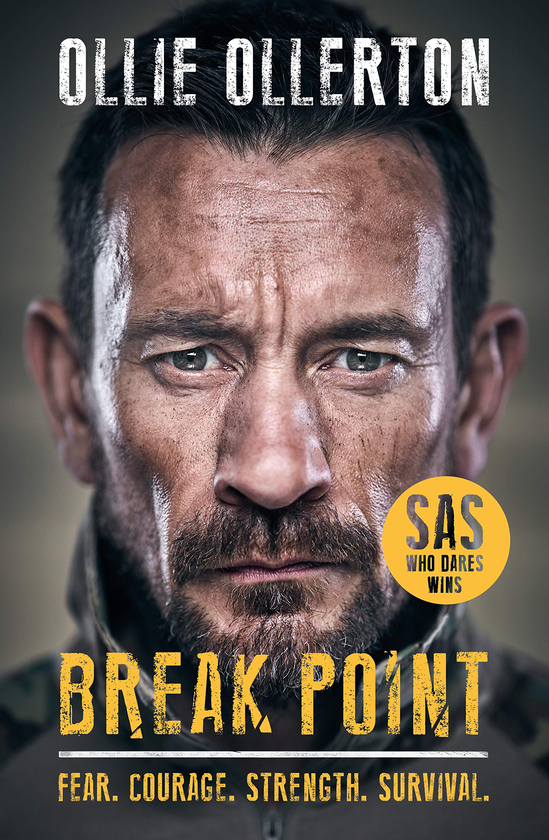 Бумажная книга «Break Point», автор Олли Оллертон - фото №1