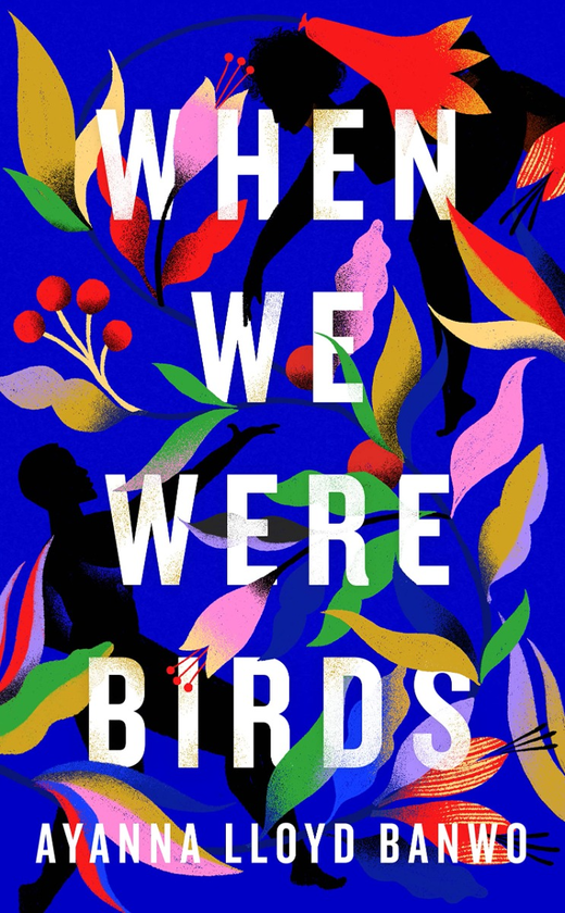 Бумажная книга «When We Were Birds», автор Аянна Ллойд Банво - фото №1