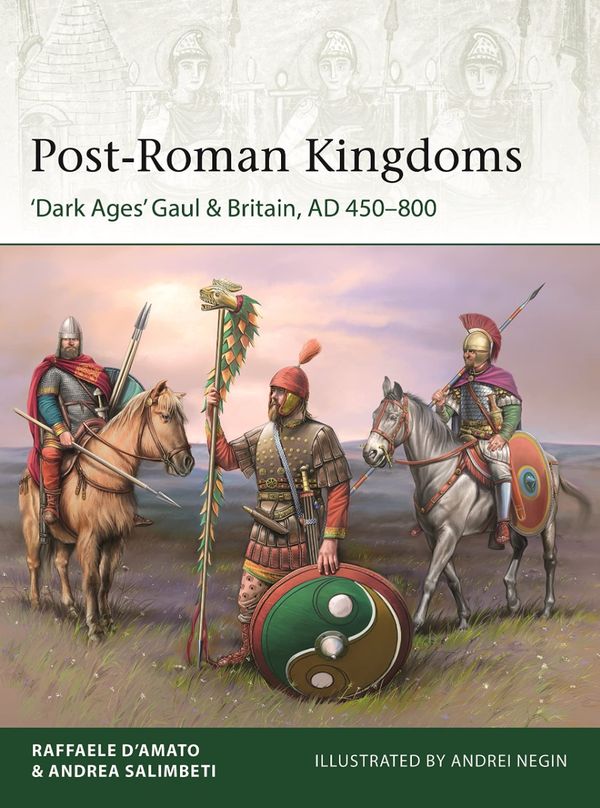 Бумажная книга «Post-Roman Kingdoms», автор Раффаэле Д’Амато - фото №1