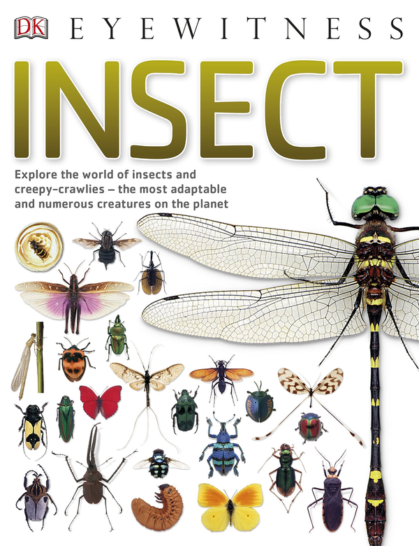 Бумажная книга «Insect. Explore the world of insects and creepy-crawlies – the most adaptable and numerous creatures on the planet » - фото №1