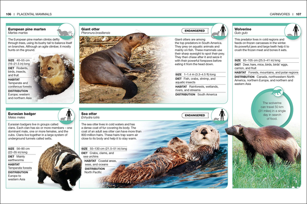 Бумажная книга «Mammals. Facts at Your Fingertips» - фото №1