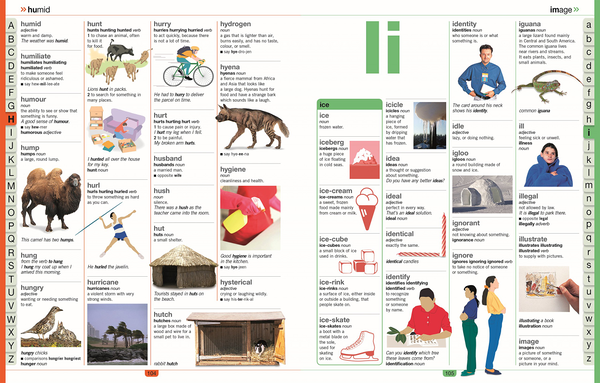 Бумажная книга «Children's Illustrated Dictionary», автор Джон Макилвейн - фото №1