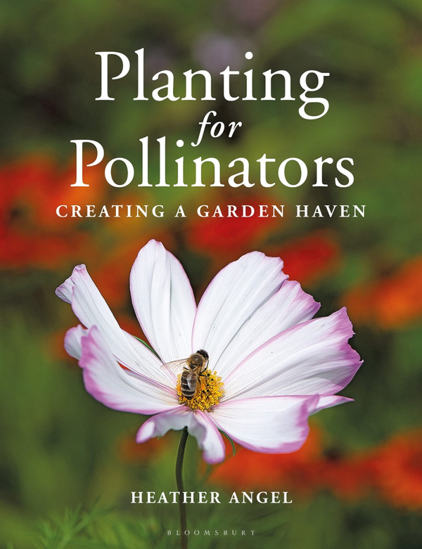 Паперова книга «Planting for Pollinators. Creating a Garden Haven», автор Хізер Енджел - фото №1