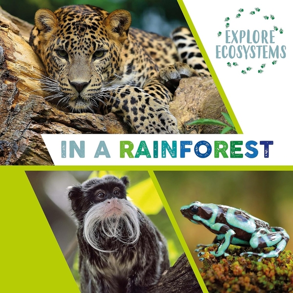 Паперова книга «In a Rainforest. Explore Ecosystems», автор Сара Рідлі - фото №1