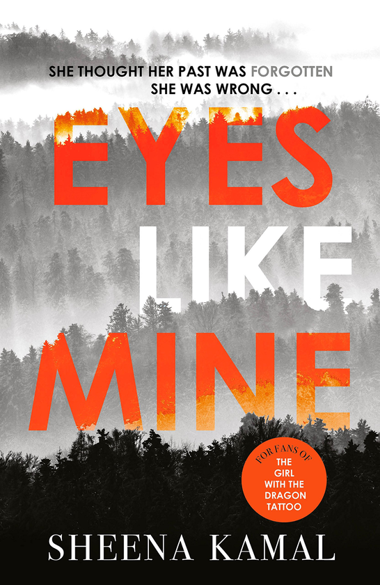 Бумажная книга «Eyes Like Mine : 'Utterly compelling . . . Will stay with you for a long, long time' Jeffery Deaver», автор Шина Камаль - фото №1