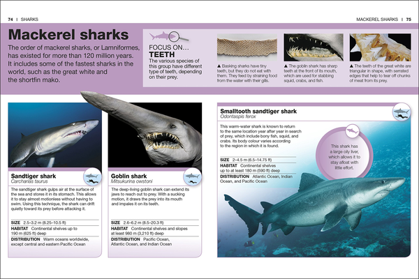 Паперова книга «Sharks. Facts at Your Fingertips» - фото №1