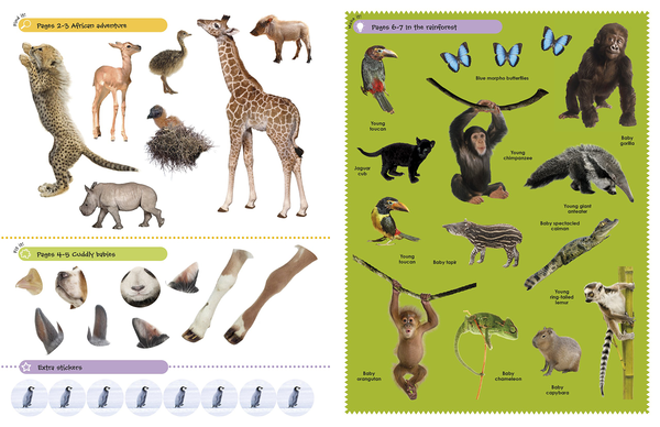 Бумажная книга «Baby Animals» - фото №1