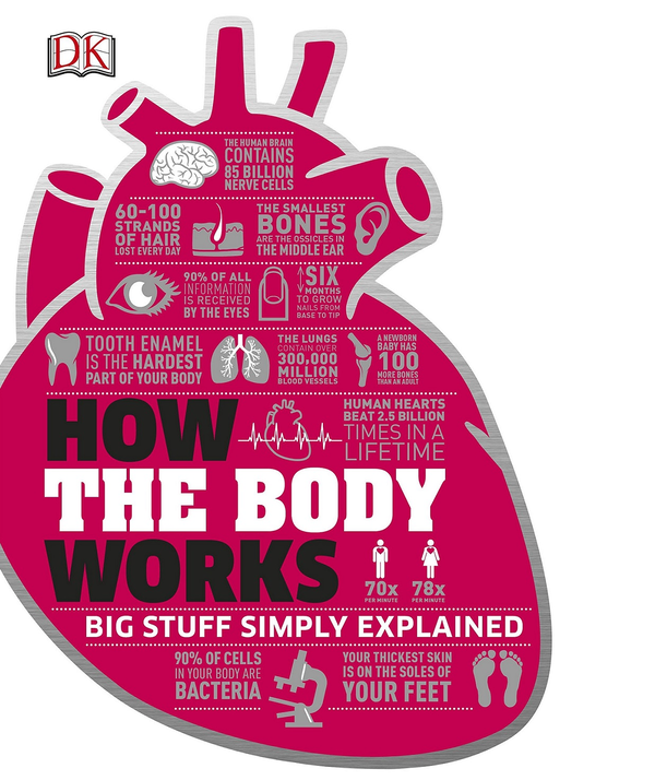 Паперова книга «How the Body Works. The Facts Simply Explained» - фото №1