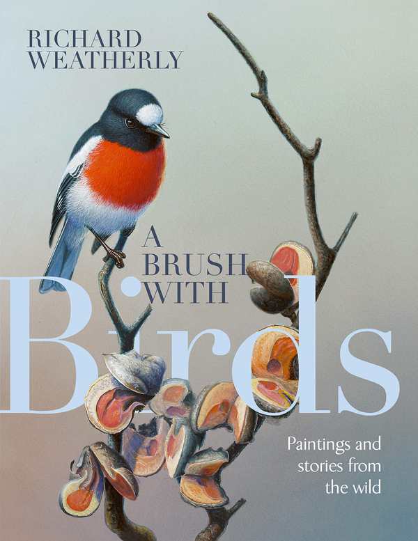 Бумажная книга «A Brush with Birds. Paintings and Stories from the Wild», автор Ричард Уэтерли - фото №1
