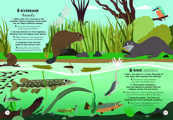 Бумажная книга «Lists for Curious Kids: Animals», автор Трейси Тернер - фото №1