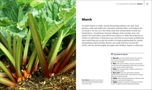 Паперова книга «Allotment Month By Month. Grow your Own Fruit and Vegetables, Know What to do When», автор Алан Букінгем - фото №1