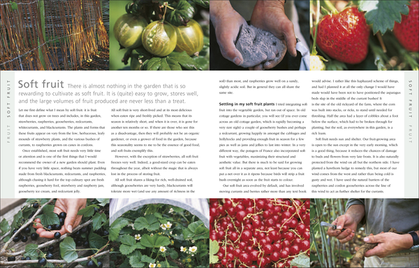 Бумажная книга «The Complete Gardener», автор Монти Дон - фото №1