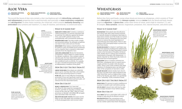 Паперова книга «Neal's Yard Remedies Healing Foods. Eat Your Way to a Healthier Life» - фото №1
