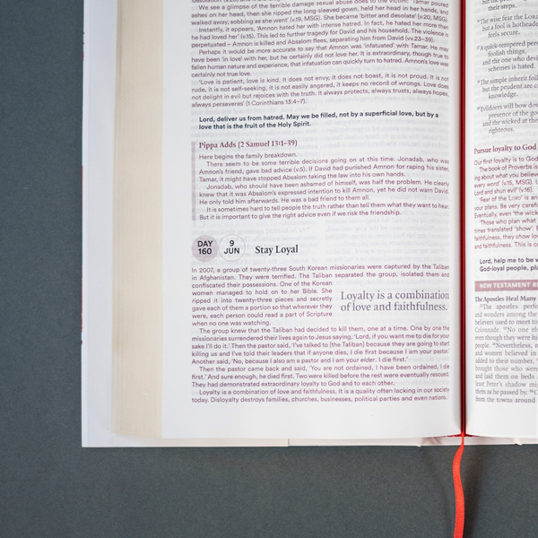 Паперова книга «NIV Bible in One Year with Commentary by Nicky and Pippa Gumbel», автор Нікі Гамбель - фото №1