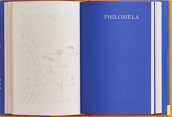 Бумажная книга «Greek Myths. A New Retelling», автор Шарлотта Хиггинс - фото №1
