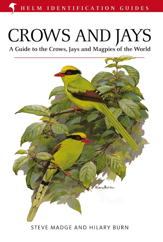 Паперова книга «Crows and Jays», автор Стів Медж - фото №1