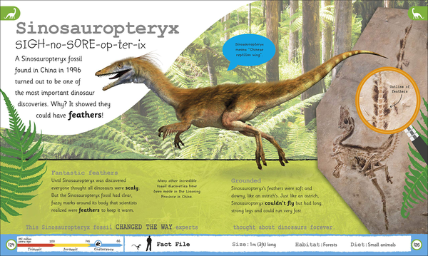 Бумажная книга «My Encyclopedia of Very Important Dinosaurs» - фото №1