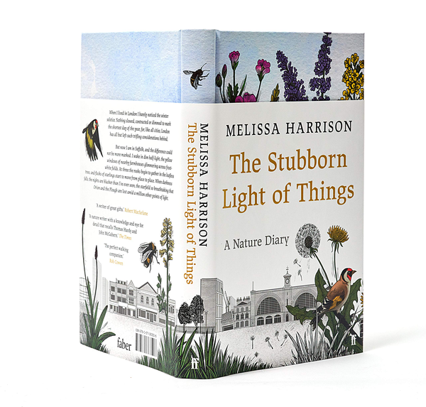 Паперова книга «The Stubborn Light of Things », автор Мелісса Харрісон - фото №1
