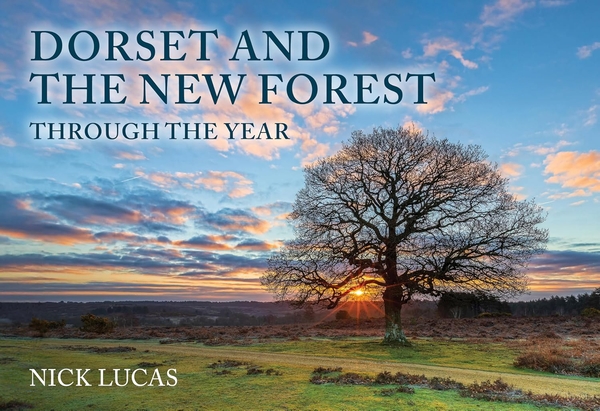 Бумажная книга «Dorset and the New Forest Through the Year», автор Ник Лукас - фото №1