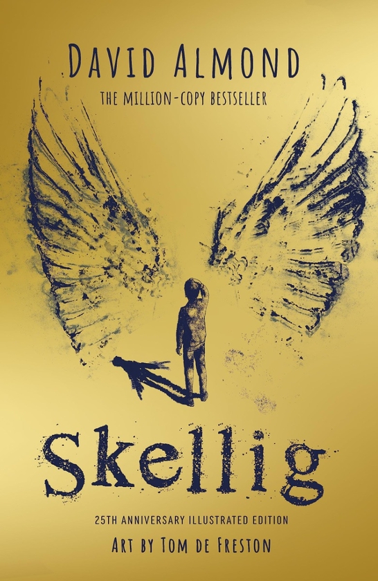 Паперова книга «Skellig», автор Девід Алмонд - фото №1