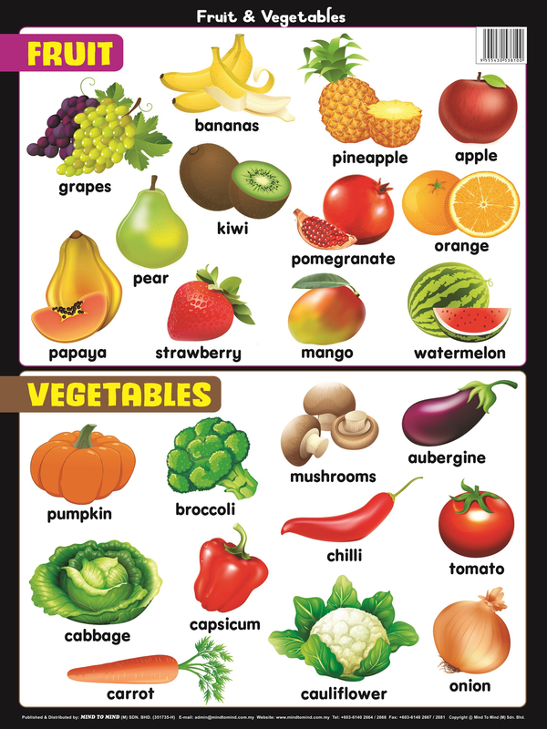 [object Object] «Educational Chart Mini. Fruit & Vegetables» - фото №1
