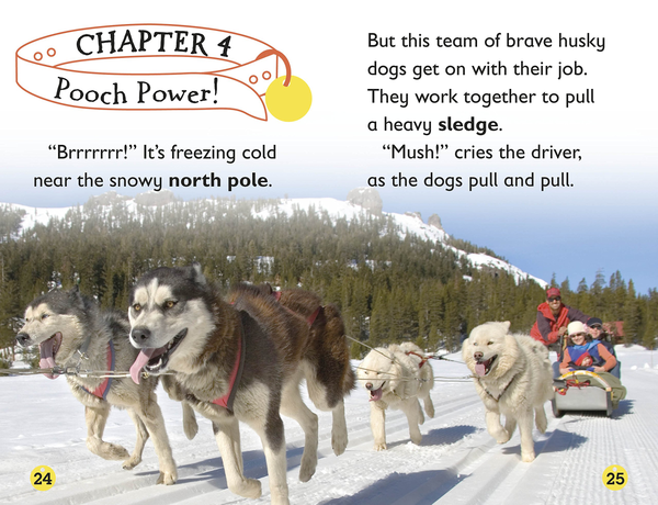 Паперова книга «Amazing Dogs. Tales of Daring Dogs!», автор Лора Буллер - фото №1