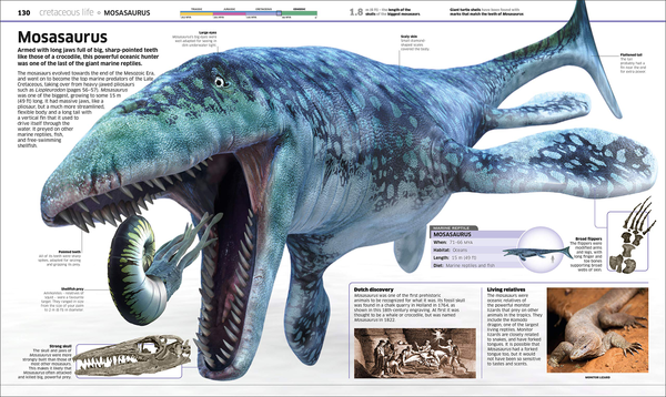 Бумажная книга «Knowledge Encyclopedia Dinosaur! Over 60 Prehistoric Creatures as You've Never Seen Them Before» - фото №1