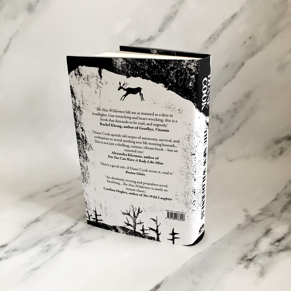 Паперова книга «The New Wilderness», автор Діана Кук - фото №1