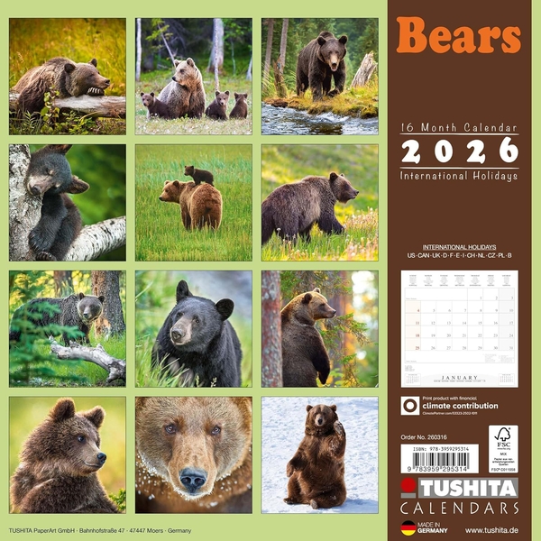 Паперова книга «Bears 2026» - фото №1