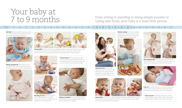 Бумажная книга «The Day-by-Day Baby Book. In-depth, Daily Advice on Your Baby's Growth, Care, and Development in the First Year» - фото №1