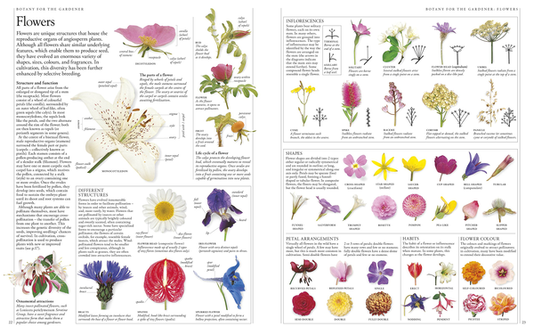 Паперова книга «RHS A-Z Encyclopedia of Garden Plants» - фото №1