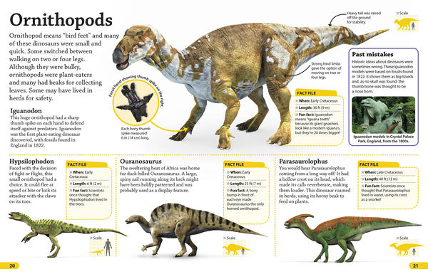 Бумажная книга «Dkfindout! Dinosaurs» - фото №1