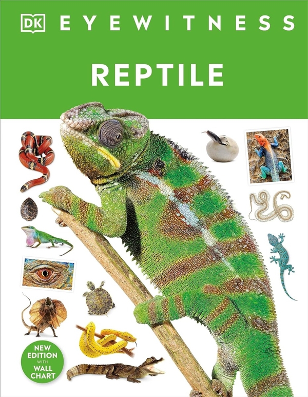 [object Object] «Reptile» - фото №1