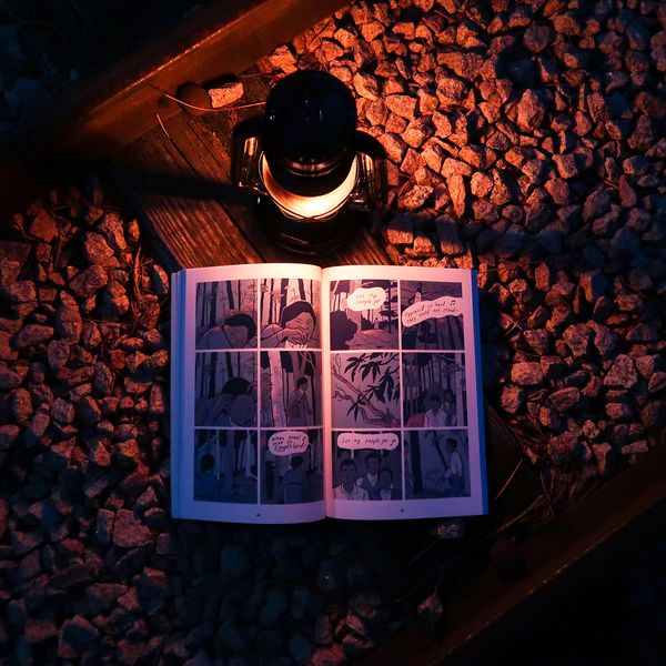 Паперова книга «Harriet Tubman. Toward Freedom», авторів Казімір Лі, Віт Тейлор - фото №1