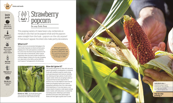 Бумажная книга «Incredible Edibles. Grow Something Different in Your Fruit and Veg Plot», автор Мэтью Биггс - фото №1