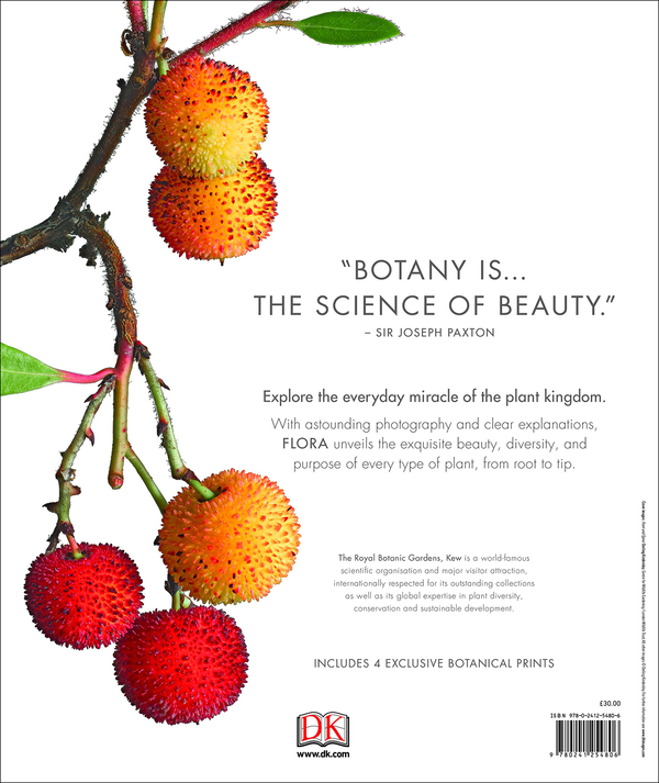 Бумажная книга «Flora. Inside the Secret World of Plants» - фото №1
