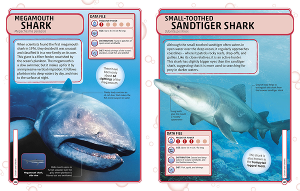 Бумажная книга «Sharks and Other Deadly Ocean Creatures. Visual Encyclopedia» - фото №1