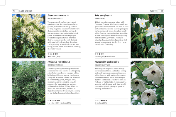 Паперова книга «RHS What Plant When. More than 1,000 Top Plants for Every Season » - фото №1