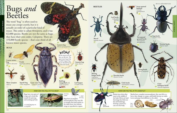 Бумажная книга «The New Children's Encyclopedia. Packed with Thousands of Facts, Stats, and Illustrations» - фото №1