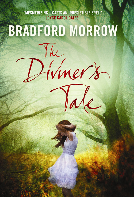 Бумажная книга «The Diviner's Tale», автор Брадфорд Морроу - фото №1